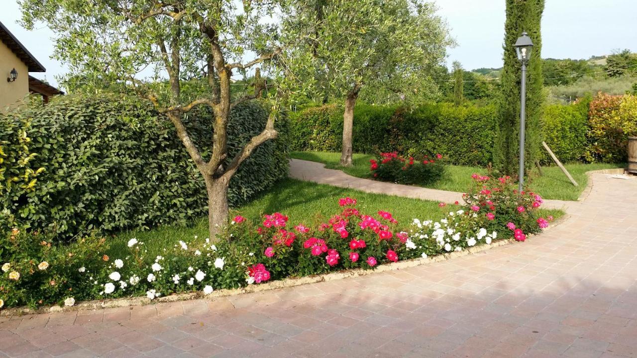 Valle Del Metauro Country House Монтемаджоре-аль-Метауро Экстерьер фото