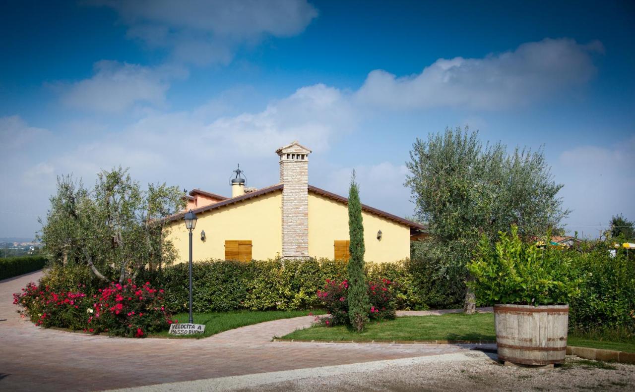 Valle Del Metauro Country House Монтемаджоре-аль-Метауро Экстерьер фото